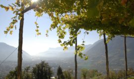 Ausblick Ueber Dorf Tirol Bei Meran Hotel Ansitz Golserhof