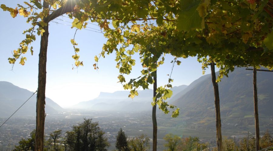 Ausblick Ueber Dorf Tirol Bei Meran Hotel Ansitz Golserhof