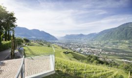 Blick Auf Die Weinberge Von Der Hotelterrasse C Tourismusverein Dorf Tirol Hotel Golserhof 0