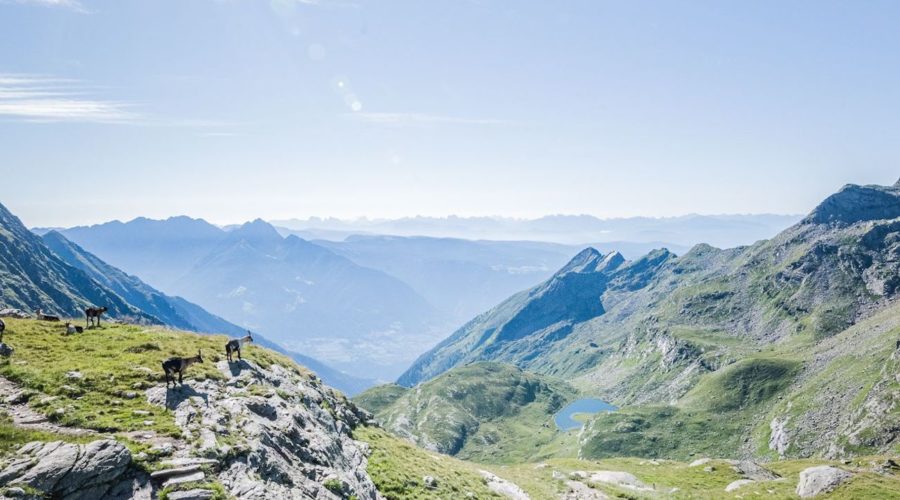 Wanderung Bei Traumhaften Wetter C Tv Dorf Tirol Hotel Golsrhof