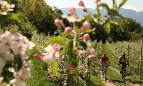 Talradweg Mit Dem Mountainbike Parc Hotel Am See