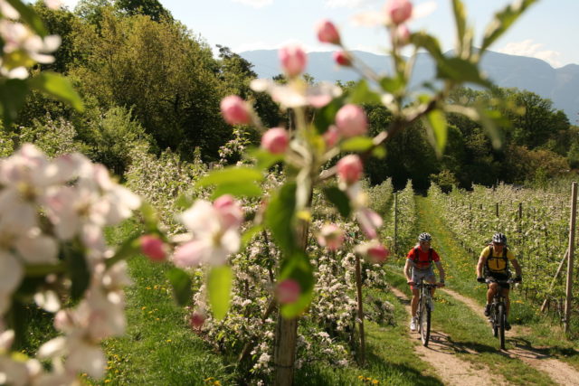 Talradweg Mit Dem Mountainbike Parc Hotel Am See