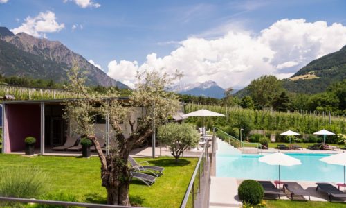 Outdoor Pool Im Garten