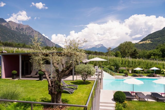 Outdoor Pool Im Garten