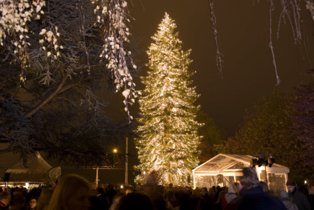 Christmas Tree Baur Au Lac 2