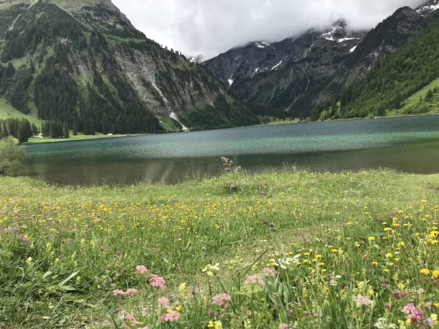 Das Hotel Bergblick - Rückzug mit Stil: „Neues“ Hideaway im Tannheimer Tal