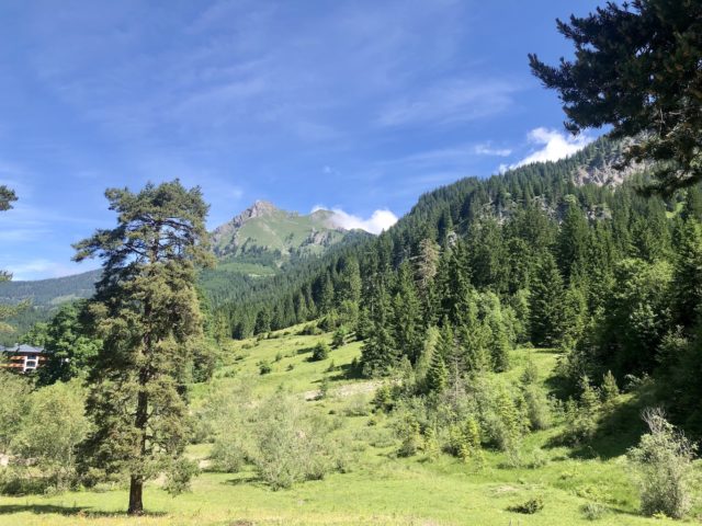 Das Hotel Bergblick - Rückzug mit Stil: „Neues“ Hideaway im Tannheimer Tal