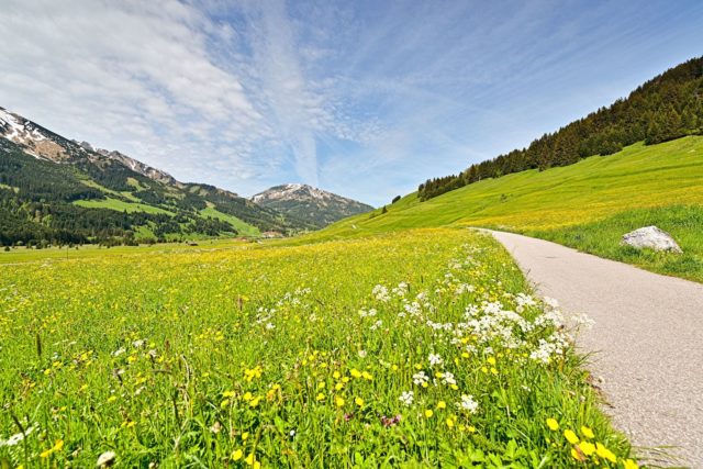 Wanderwege Durch Die Gruenen Wiesen Hotel Bergblick