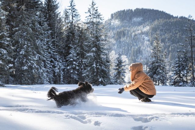 Spass Im Schnee Mit Hund C Missmargo Alpenhotel Kitzbuehel
