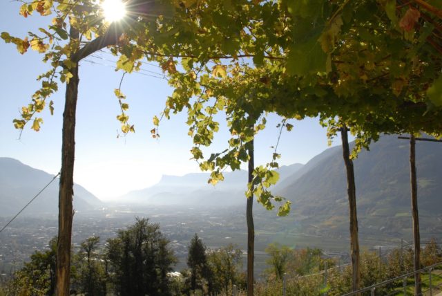 Ausblick Ueber Dorf Tirol Bei Meran Hotel Ansitz Golserhof