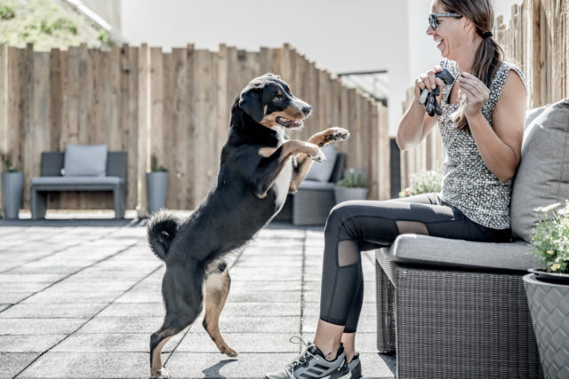 Spiel Und Spass Fuer Hunde Im Ski & Wellnessresort Hotel Riml ©Alexander Maria Lohmann