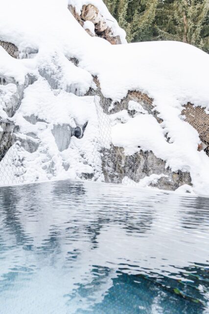 Beheizter Outdoorpool Auch Im Winter Hotel Arpuria