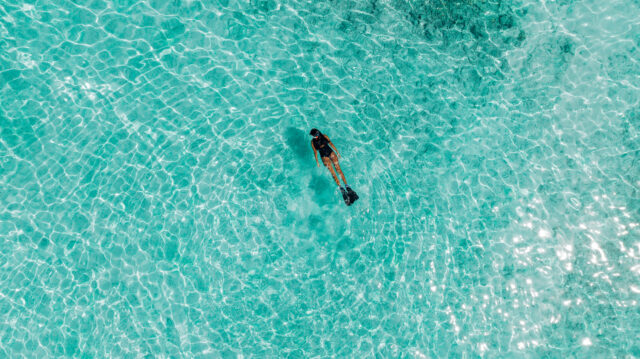 6 Nova Maldives Snorkeling (1)