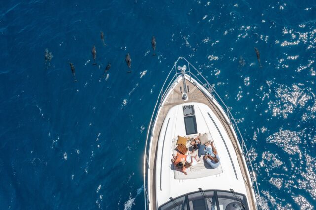 The Nautilus Maldives Delfin Tour