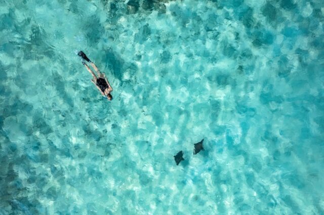 The Nautilus Maldives Schnorcheln