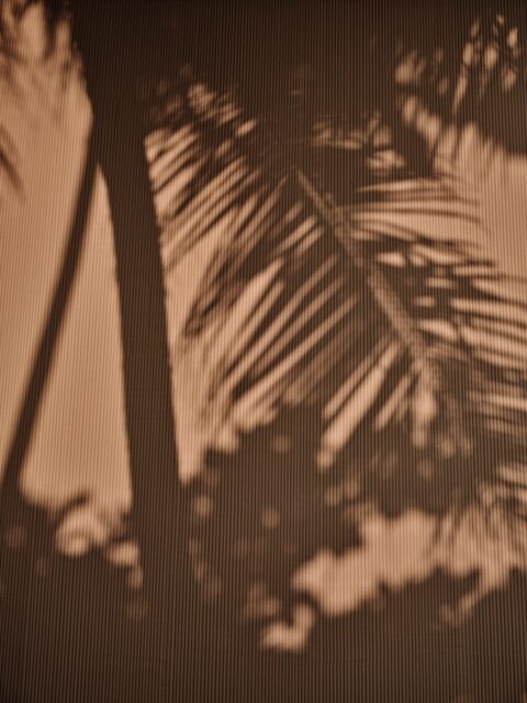 Dot Here Island Somewhere Mood 2