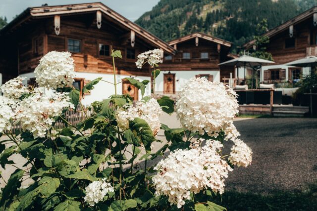 Alpzitt Chalets Im Sommer Alpzitt Chalets