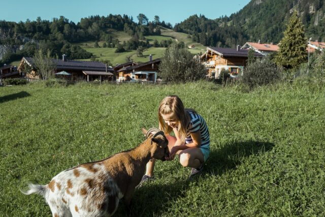 Familienurlaub Im Allgaeu Alpzitt Chalets
