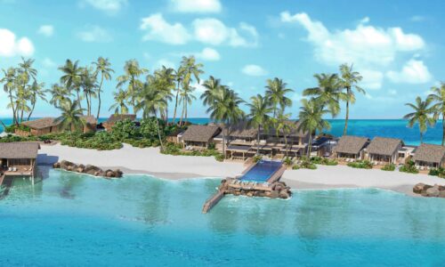 Dot Here Island Nowhere