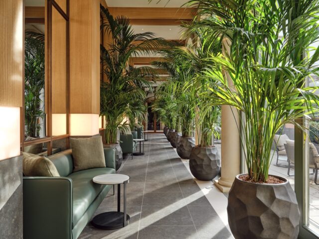 THE FLORENTIN Palmengang Copyright Daniel Schäfer (4)