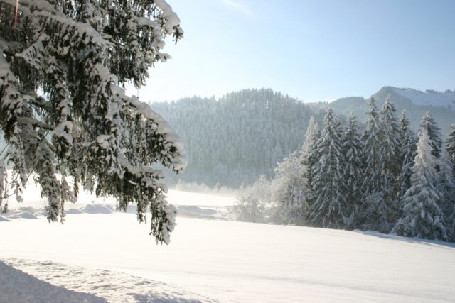 Winterlicher Landschaftsblick Panorama Royal