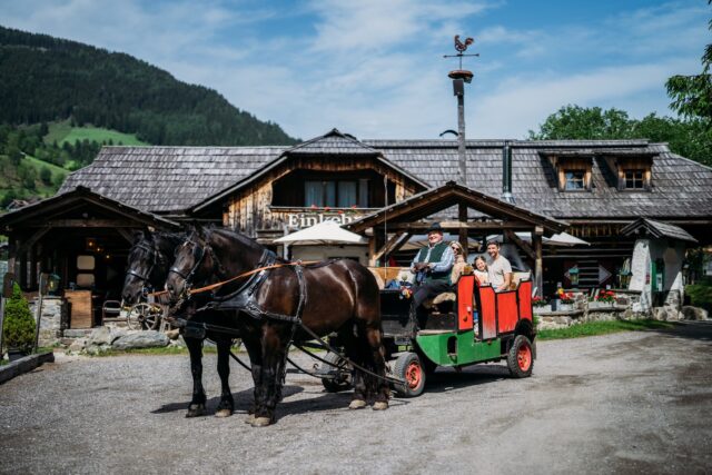 Pferdekutschen Erlebnisfahrt C Gert Perauer Trattlerhof