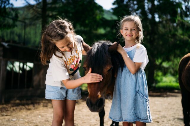Trattlers Ponyfarm C Gert Perauer Trattlerhof
